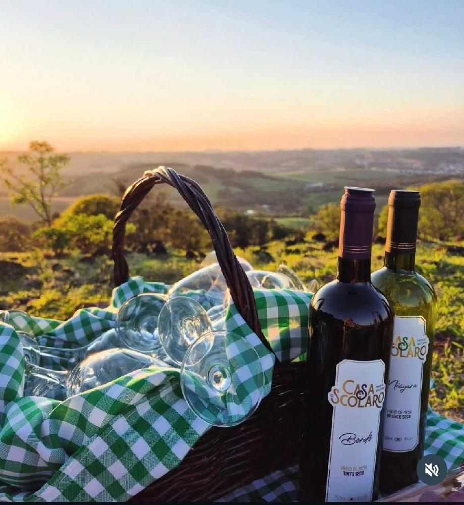 LINHA-BEBIDA-CASA-SCOLARO-VINHO-DE-MESA-BRANCO-SECO---NIAGARA