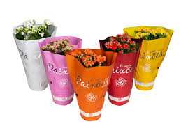 KALANCHOE-DOBRADO-PAIXOES-P11